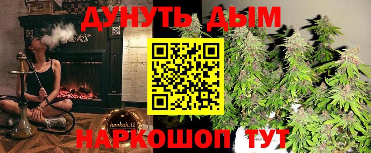 Конопля AK-47 Сочи